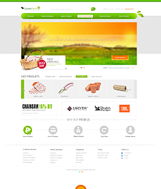 網(wǎng)頁與網(wǎng)站設(shè)計 構(gòu)建數(shù)字世界的藝術(shù)與科學(xué)